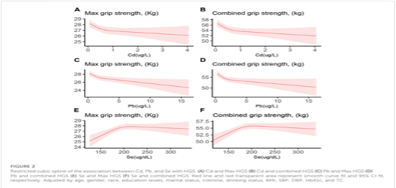 %E5%9B%BE%E7%89%87-2-3 Une Percée en Médecine : le Rôle du Sélénium dans la Mitigation des Effets du Cadmium et du Plomb sur la Force de Préhension Révélé